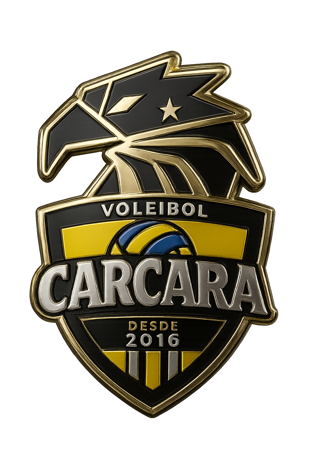 PROJETO CARCARÁ VÔLEI